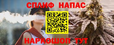 СК Пенза