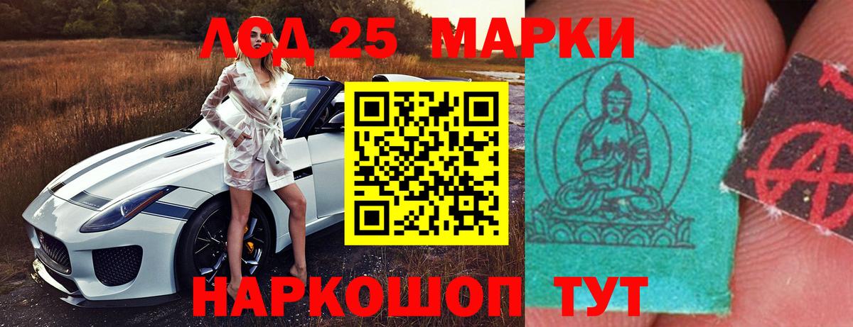 ОМГ ОМГ tor  ЛСД экстази ecstasy  LSD-25 экстази  LSD-25 экстази ecstasy  Вход с VPN  Аргун 